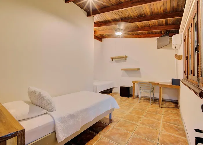 Jacuzzi hotel: Cariblue Beach And Jungle Resort